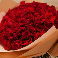 Amor y Romance