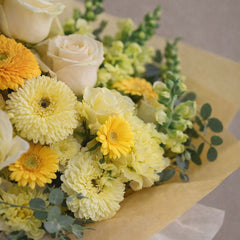 Gerberas